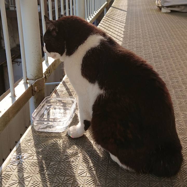 958ecf97 5303 4c1a bf3c ccde699ee263 1656366455924