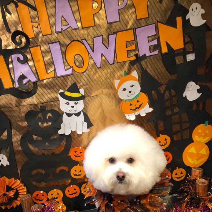 958ee6e1 95ef 42c5 bc32 b8ab4bf09bf8 1604027893444