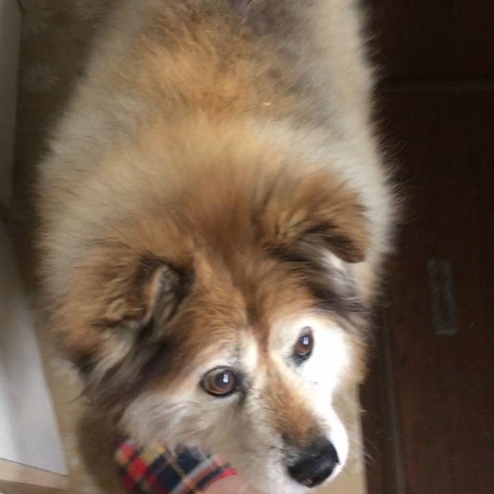 958f17f1 6bb1 4ec0 8876 66533d8506bb 1640148364237