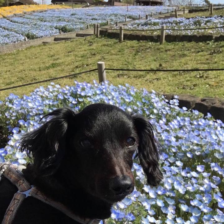 958f80af 013f 4e56 afa3 6341c4485605 1554774068058