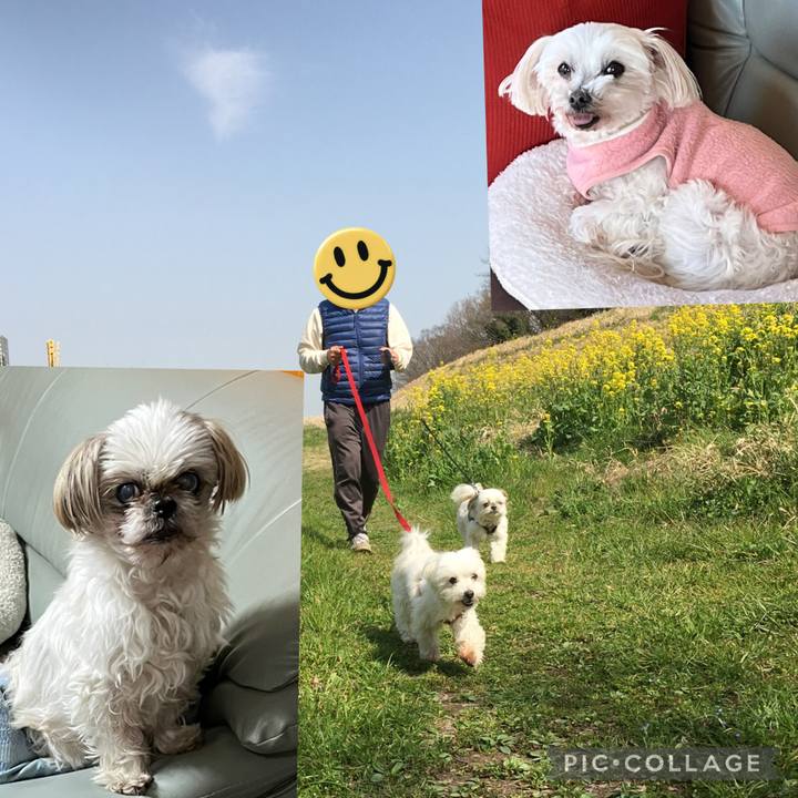 958fa065 883d 42f8 9095 dd617102546d 1744786705614