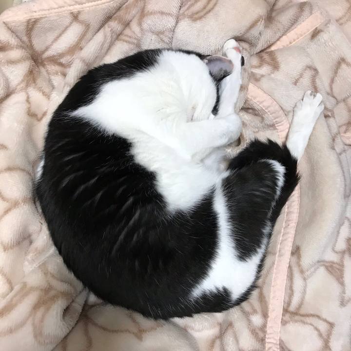 958ff715 a994 487d 8a0f 661a26cb16b6 1511262658051