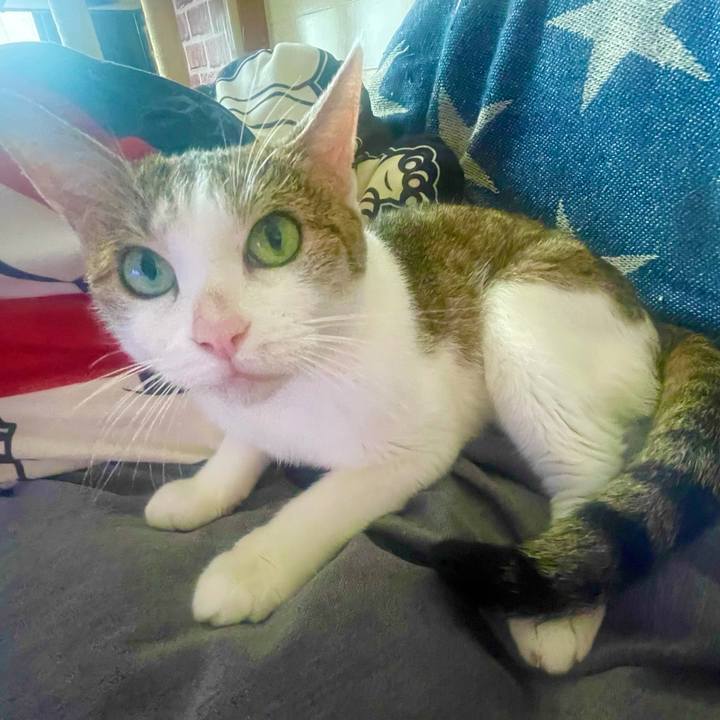 958ffdff 0d0a 49af b1f9 b3164bdb80fd 1630103511364