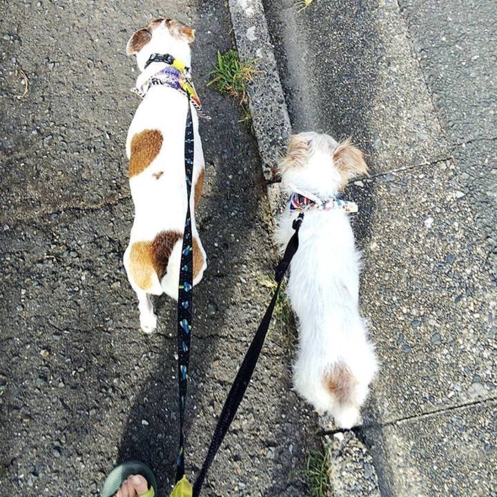 959006e8 542c 49df 9d7e b8ed7d173a5b 1755179320378