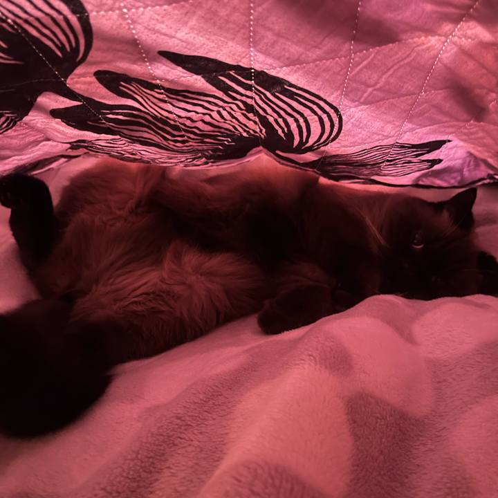 95900c7e aa30 4346 8921 1ce9aa00f219 1701834054261