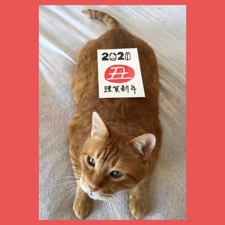 959023da da48 4454 a28b 50a9c4f4e4e5 1609553004111