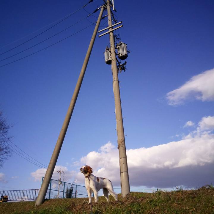 95904b76 3eb7 4eb3 b40b e278a922e7c7 1512460739292