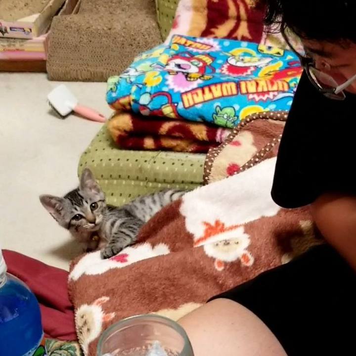 95908939 6111 43df b672 7a6122fd211c 1664795965361