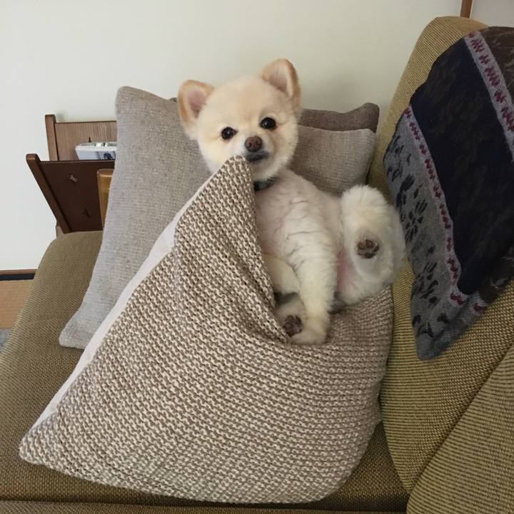 9590c45d 2467 4209 b3f6 a2ea163eaa01 1641779892539