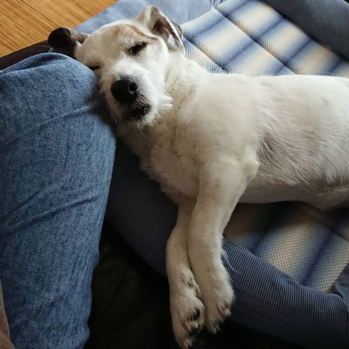 9590f1ef 8589 4091 97c2 a57b58acf8c5 1533339307469