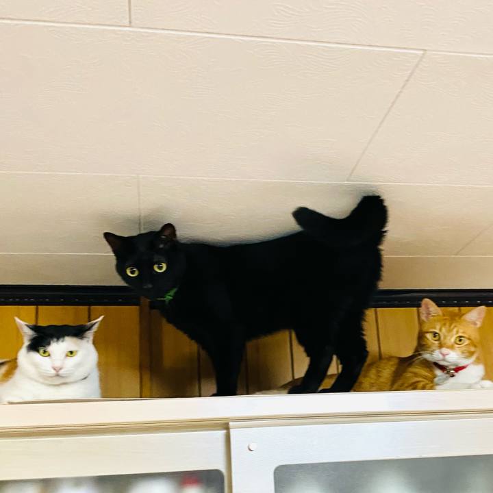 9590f9f6 9630 434f adc3 84a913d7bdc4 1694777959998