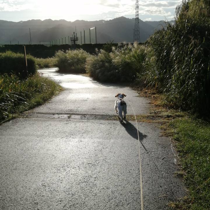 959100bd 3841 45ea af54 889e6cf22d99 1570145091544