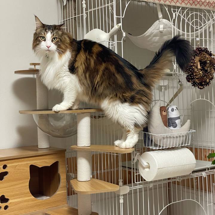 959120e3 fe18 4d18 840d 1aa85bb5081c 1737319666468