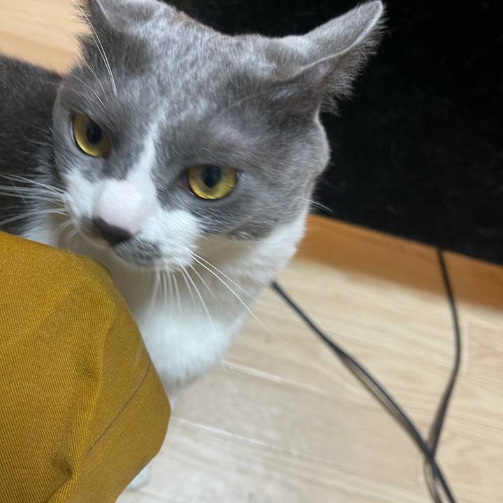 95914f84 3cb7 4159 bdfe bbc8700e0a94 1625304777242