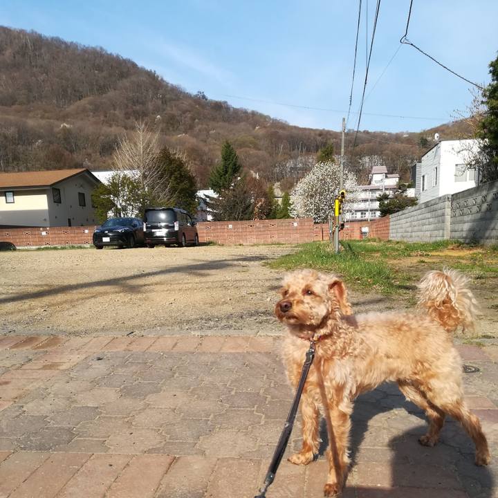 95915e22 8091 46dc 8bd3 20a69e5234fd 1556577158190