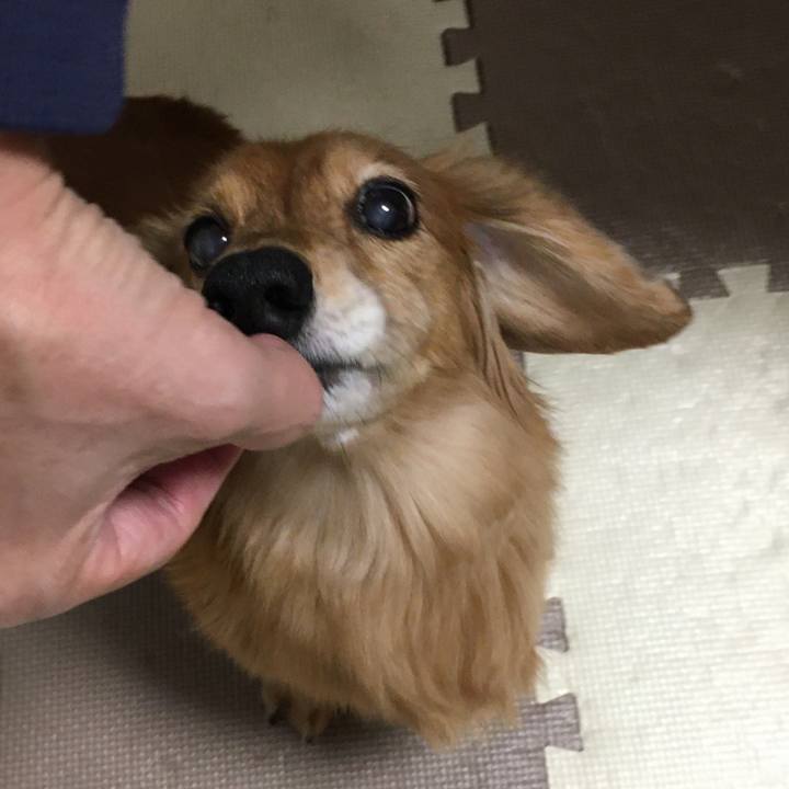 959173cf 905e 43a7 8e69 ae1ab3eaac6b 1604494965575