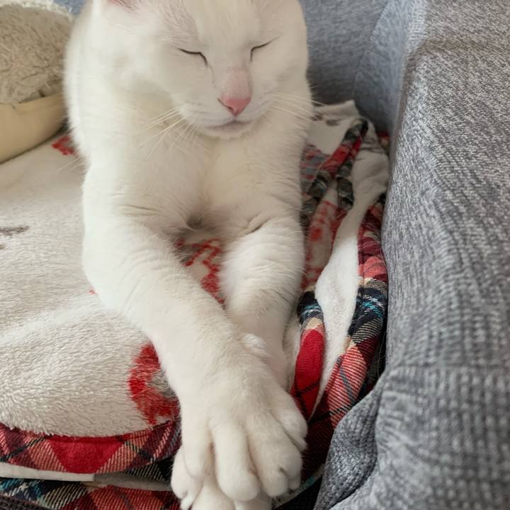 9591b68d 53bf 4fed 981b aaaf273455c0 1638960432841