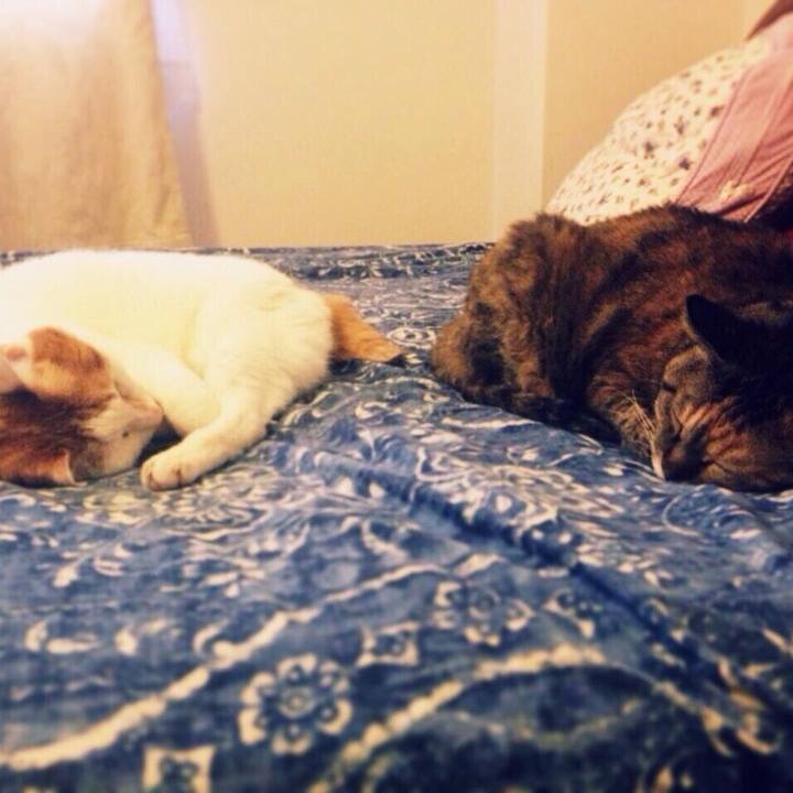 9591d896 7a36 40c8 96dc 848eef89f9dc 1519260704534