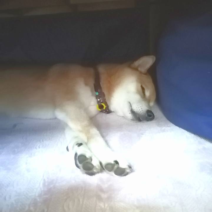 9591ed04 92a4 4c06 b92d 8b36739f1e52 1671765763237