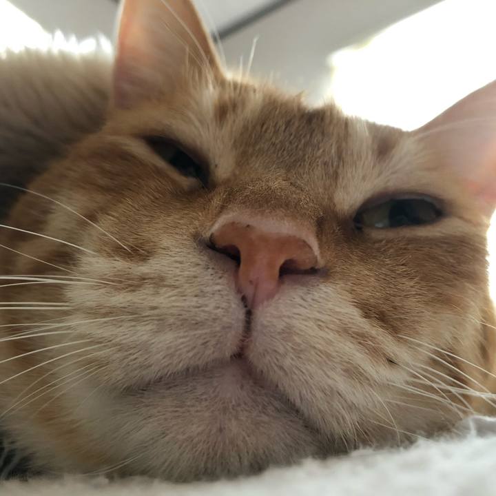 9591f648 6a27 418a 8e67 cc82805615a8 1578715979321