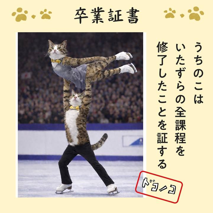 959213e7 e0c3 4d27 992c e1ebf6c42fdf 1772503161346