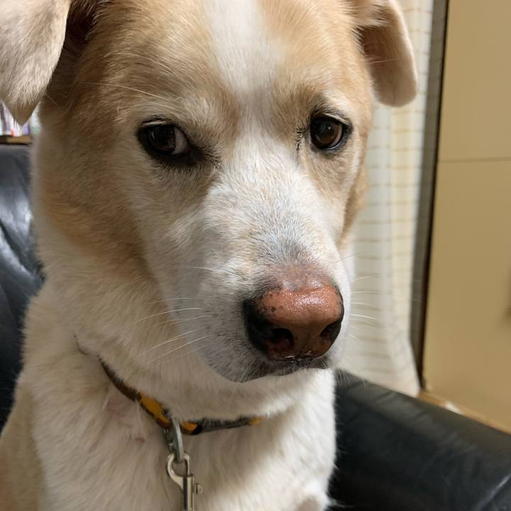 95922211 29df 41ea b811 d7244496f226 1604931772396