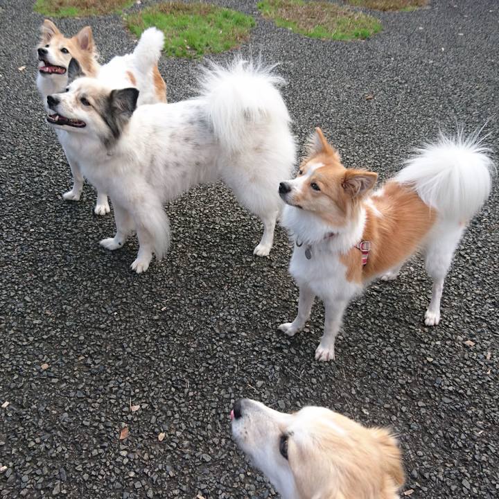 959228ec 28a5 40fe a812 744ea9999a46 1542029737154