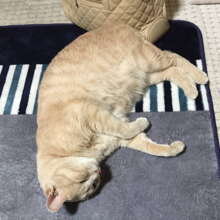 95922a02 d442 4d30 bc6d 91199df09427 1528457353430