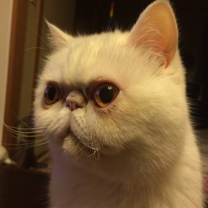 95924114 6947 477b 9faa b30a89925514 1519207314335