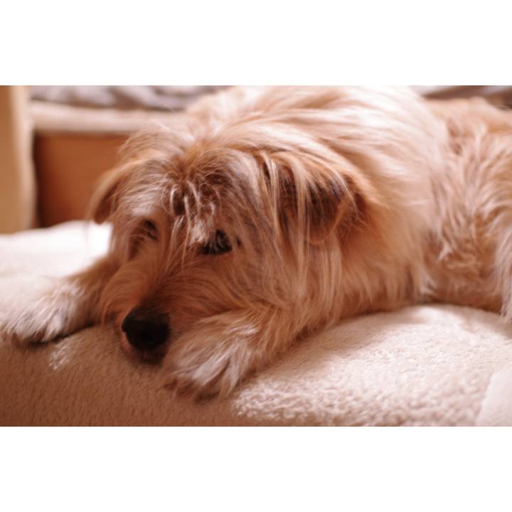 95926674 dcfa 4f25 b683 9357101ca83e 1587341915501