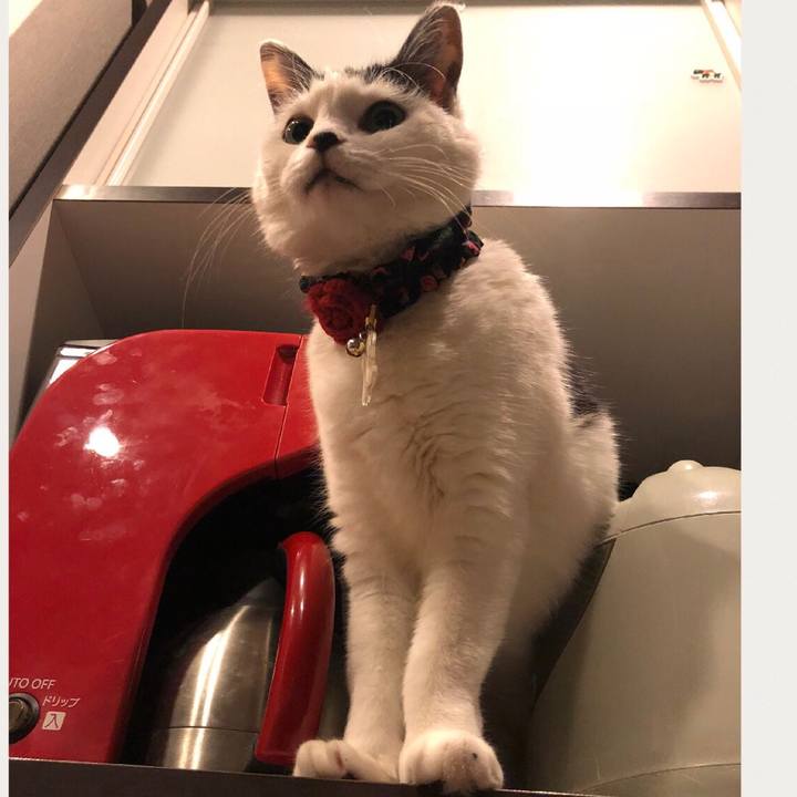 95927a8b 54aa 4801 a665 36b9303d06d5 1520434055589