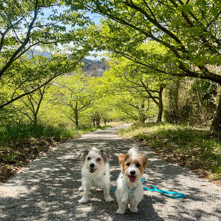 9592981c a24f 4ee9 87ac b373e54e8595 1774354999408