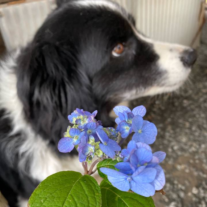 9592fb75 832f 484c 9214 5b937e8bd4bd 1620871728206