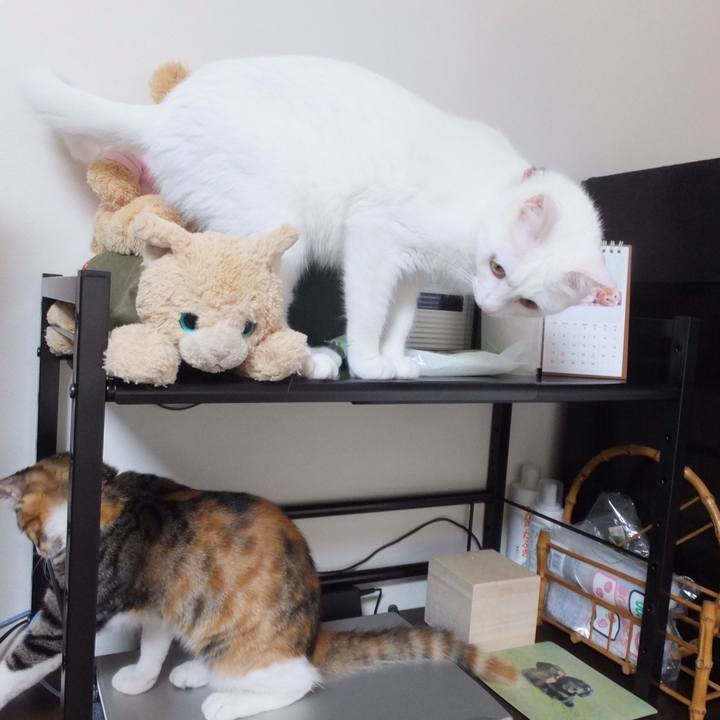 95932f9f 79b0 4e09 a011 4ef39c131d7b 1631597905678