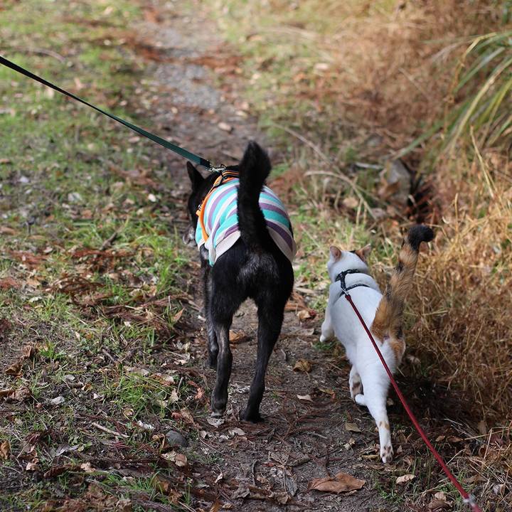 9593372a d72a 42b1 b7af 5aabe1e6d906 1612410893238