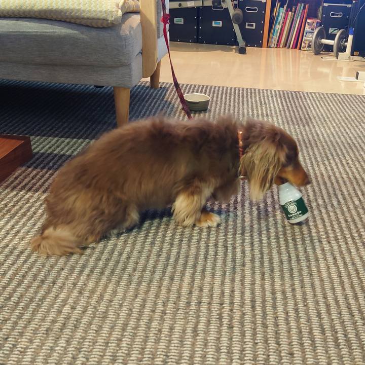 9593582d ac9b 491b bff1 c59374ef04bc 1605937823992