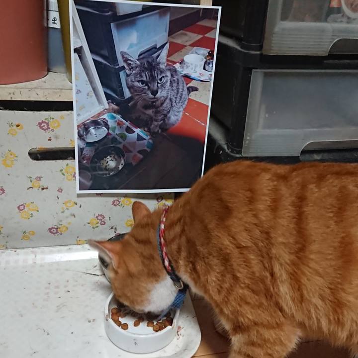 959380da 1f10 4dc7 8262 698938169779 1599252552245