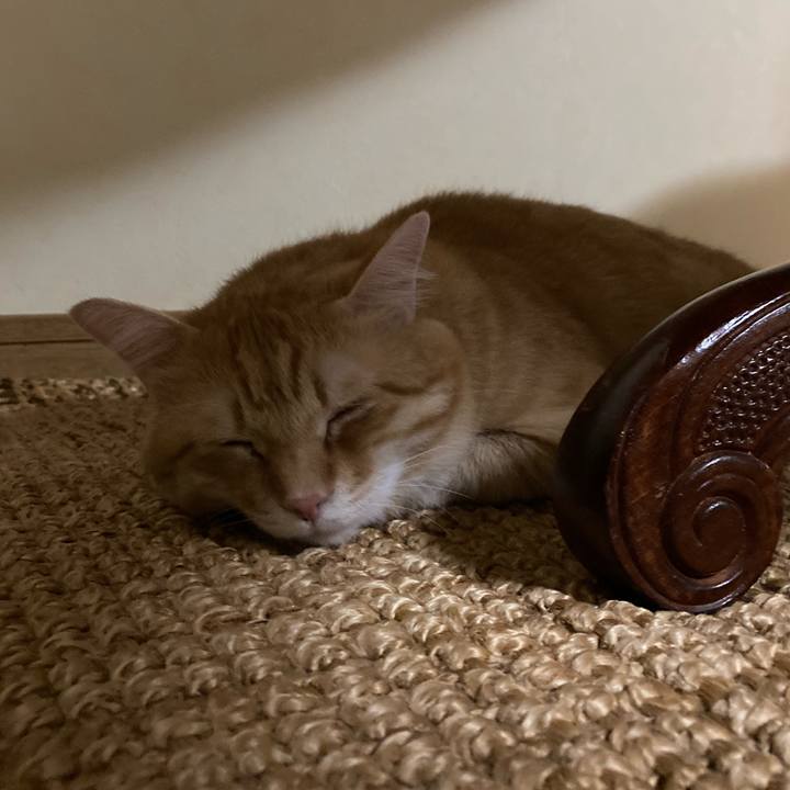 95938ad8 ba95 426b b86e db11ec619e73 1756821845609