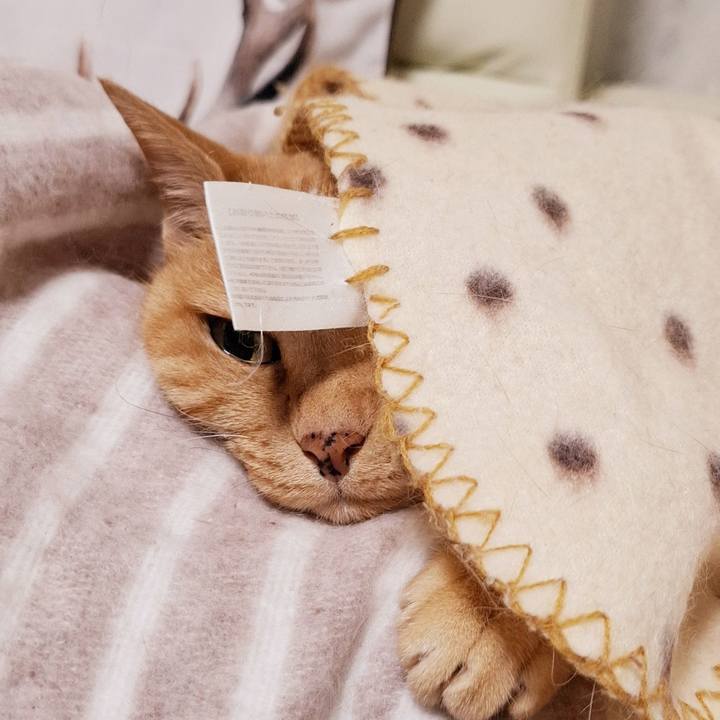 95939f41 eb21 4254 a5c0 2640c7641577 1747614212212