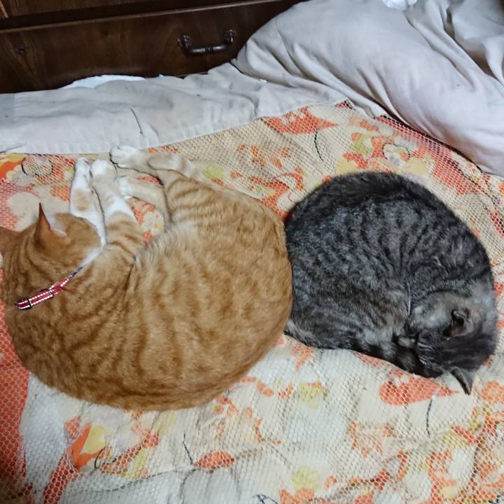 9593b5ac b0cc 4581 a28e ffae8b93973b 1571835925007