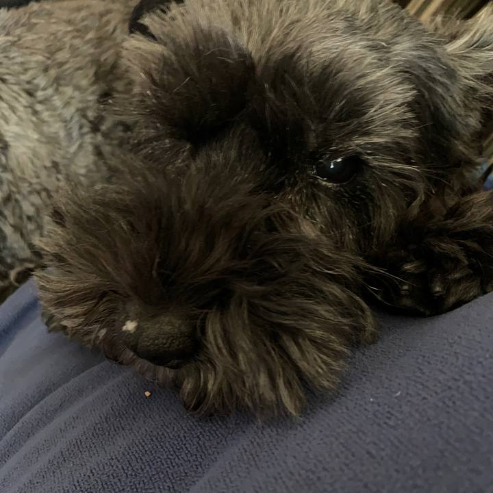 9593be35 7c6c 42e6 a6af 2fbd73d03b6e 1609481577330