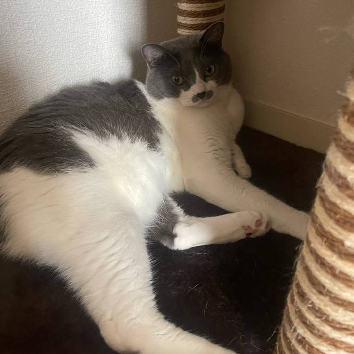 9593c584 78c8 45d4 a300 21c14c0c41c3 1693622103736