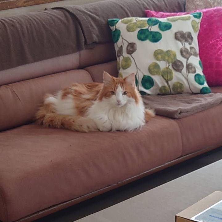 9593ce45 6a83 4187 b4bf ef7e8aefd49f 1632549518126