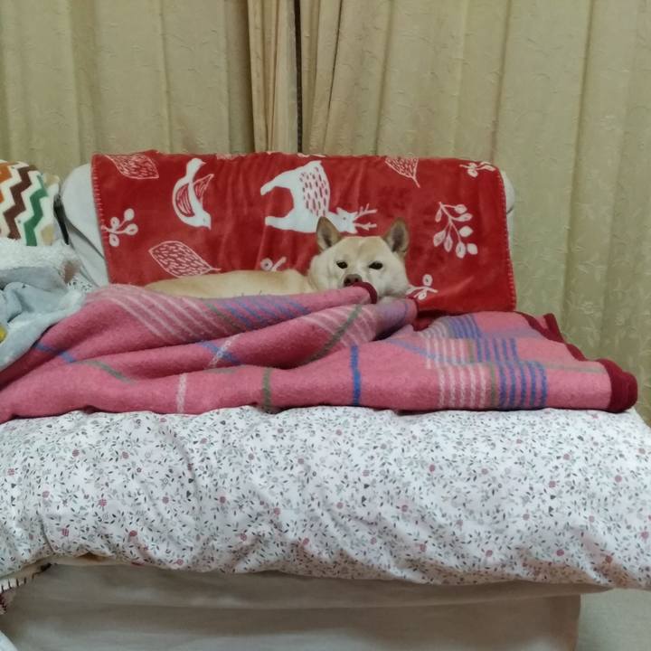 9593de6e 19c5 477d a712 fdd15fc446c7 1611737607140