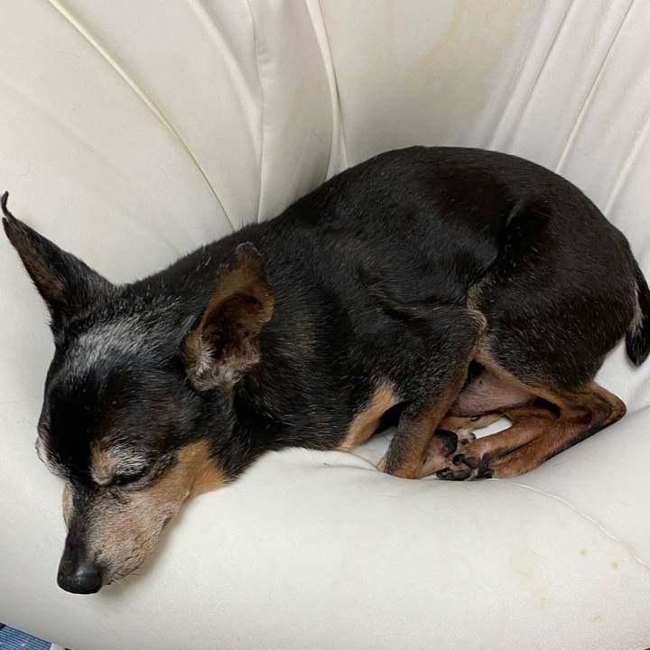 9593e19f 5f67 448c a776 f00a8f1cec1f 1599887789594