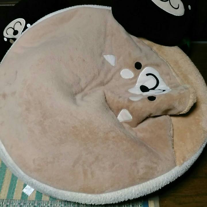 9594103a 236c 4fb0 8781 b3f4da0a3856 1571233116918