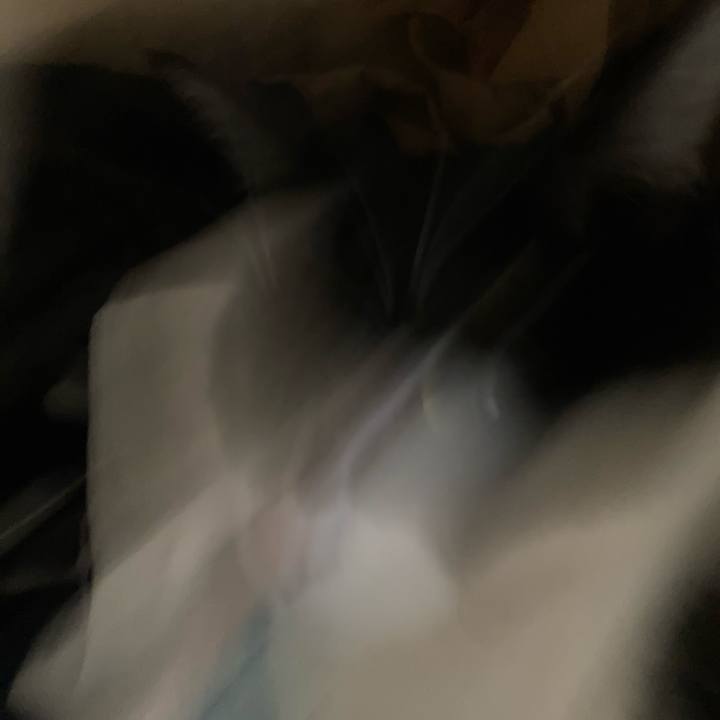 959423c4 c879 45e0 a0b2 da6950095763 1620357293853