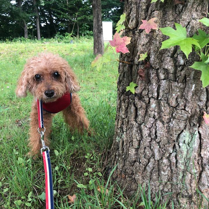 95944221 5427 462d 90f5 6a0f88628522 1662698197152