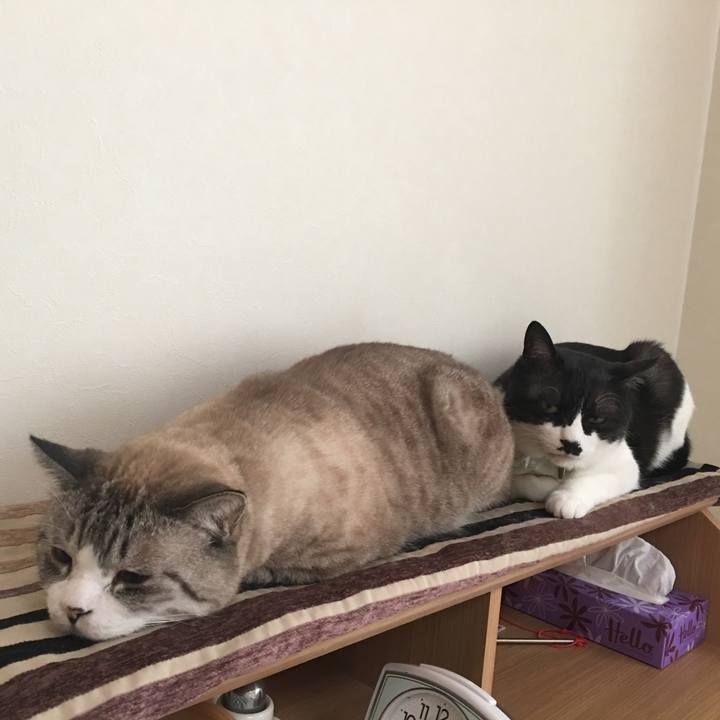 95946fb4 bd65 4620 83c6 ca28eb0e2dc4 1519543605090