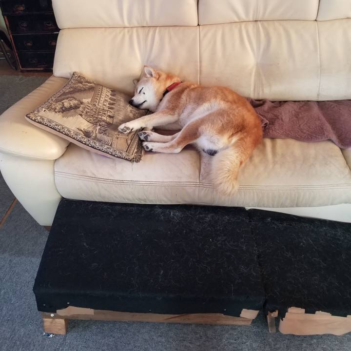 9594c0c2 5214 4006 a9ad 1cc417562fd6 1753052236618